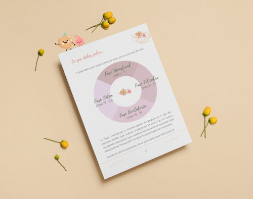 Página de ejemplo de la guía menstrual con una rueda de las 4 fases del ciclo menstrual